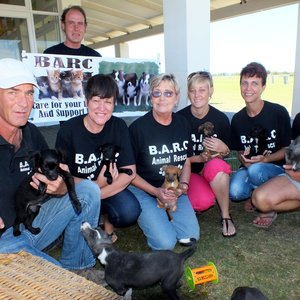 Vlnr is Gavin, RiÃ«tte, Annelie, Elizna, Adri en Deon, met Niel wat agter staan